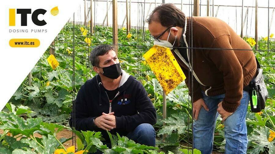 itc-bombas-fertirrigacion-almeria|itc-bombas-fertirrigacion-almeria|itc-bombas-fertirrigacion-almeria